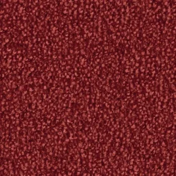 Vorwerk Safira Teppichboden Farbcode 1N27 – Draufsicht ohne Etikett